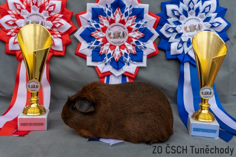 Vítěz Tuněchody 2023 Edith Iluze